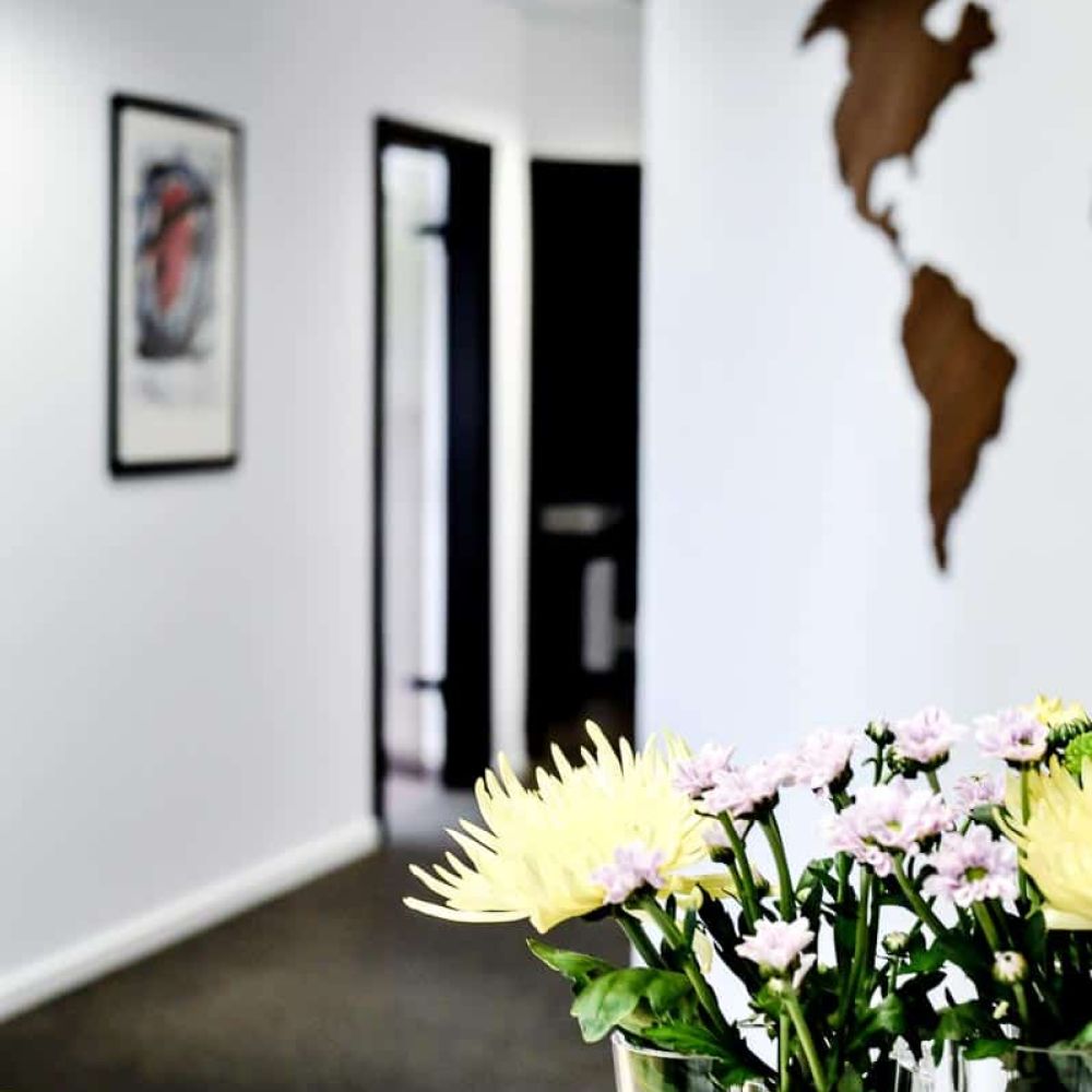 Empfangsbereich mit frischen Blumen in der Zahnarztpraxis Dr. Hüning – Zahnärzte Bochum-Harpen